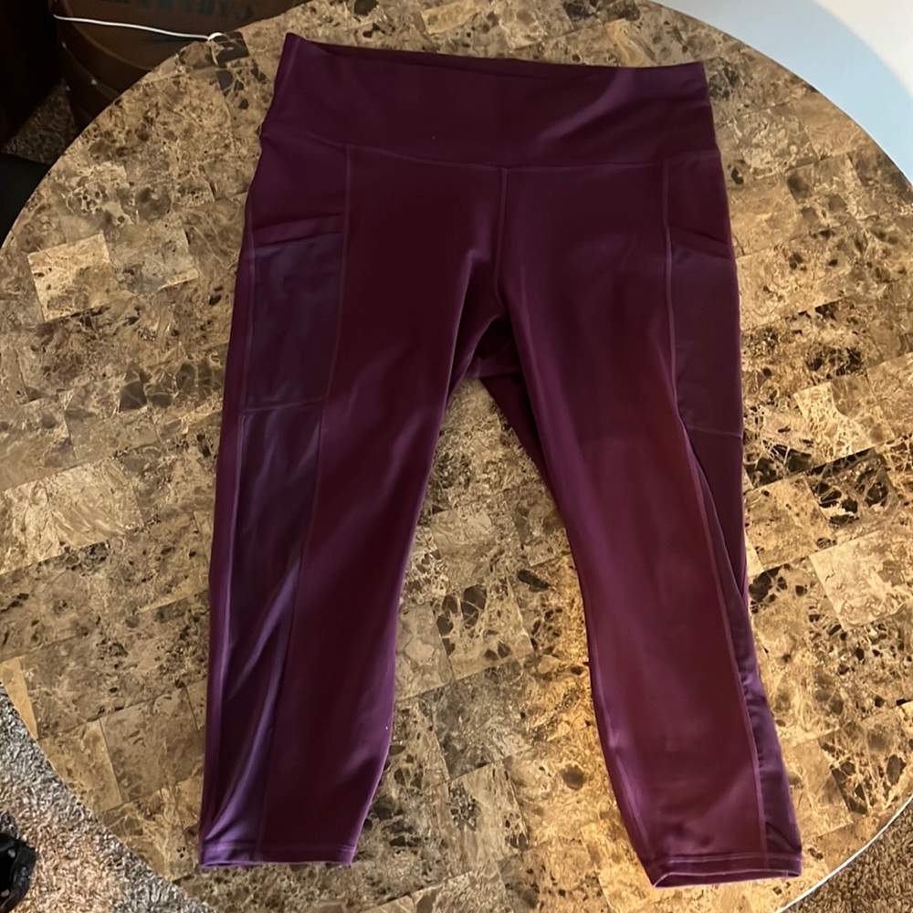 Powerhold leggings by fabletics 1x